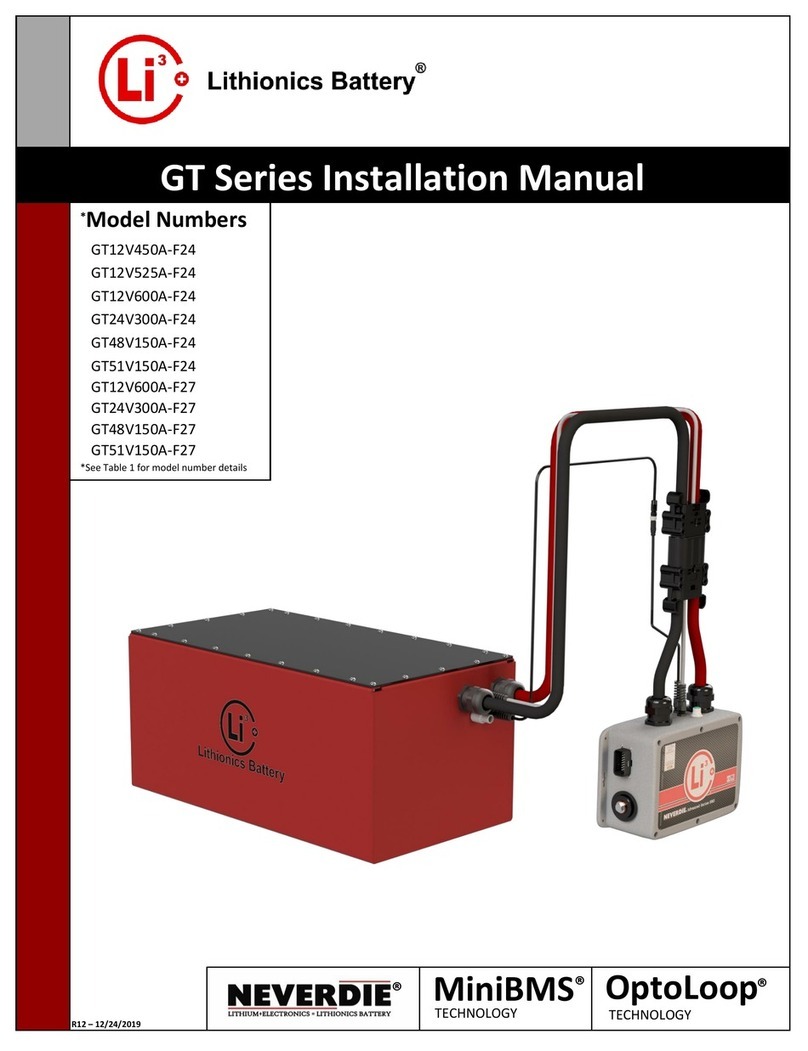 Lithionics Battery GT12V525A-F24 User manual