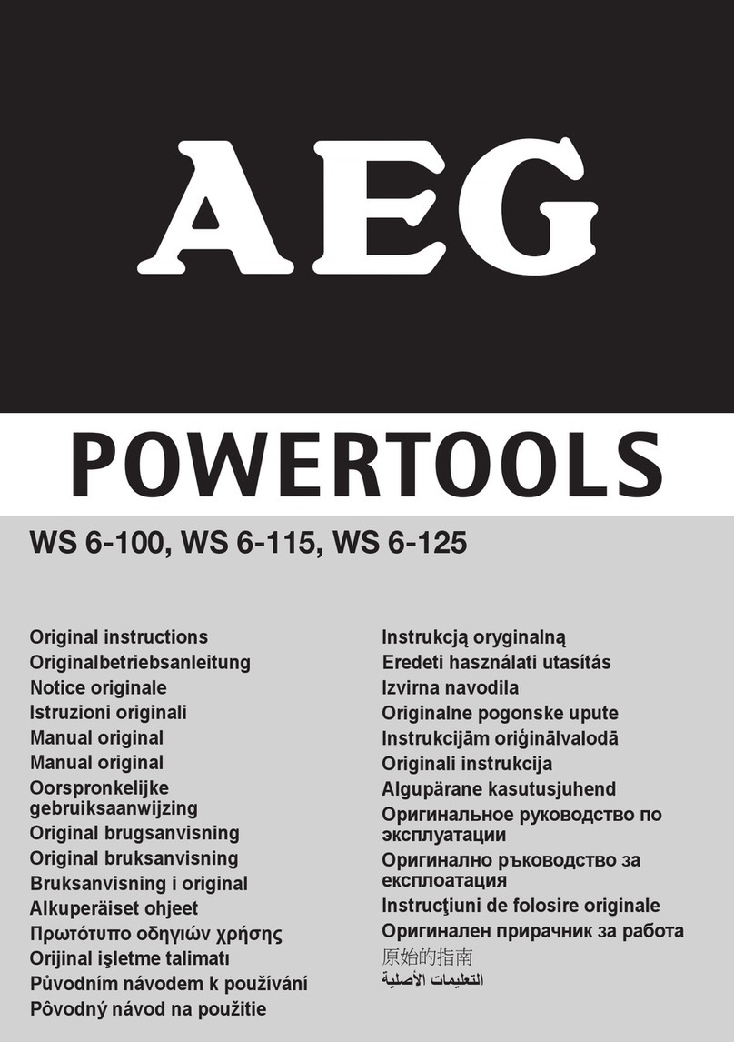 AEG WS 6-100 Original instructions