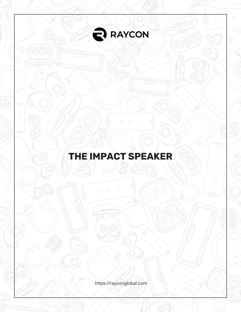 Raycon IMPACT SPEAKER User manual