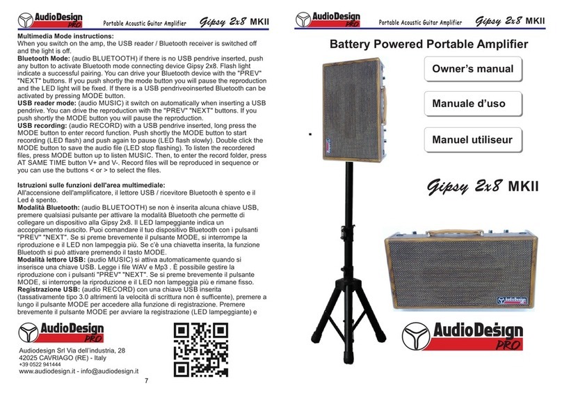 Audiodesign Gipsy 2x8 MKII User manual