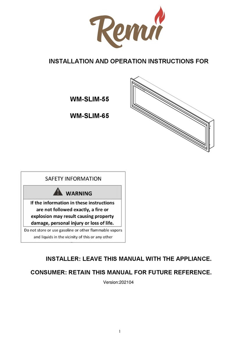 Remii WM-SLIM-65 Owner's manual Remii WM-SLIM-65 Owner's manual