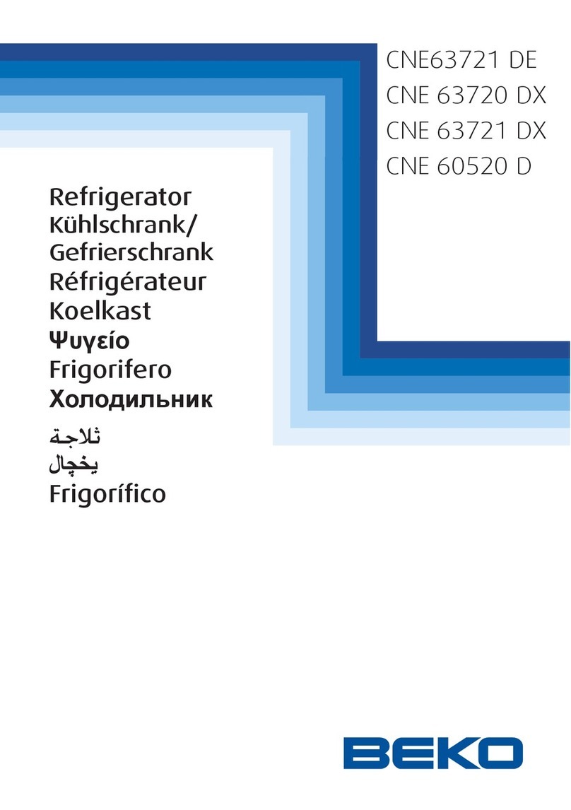Beko CNE63721 DE manual
