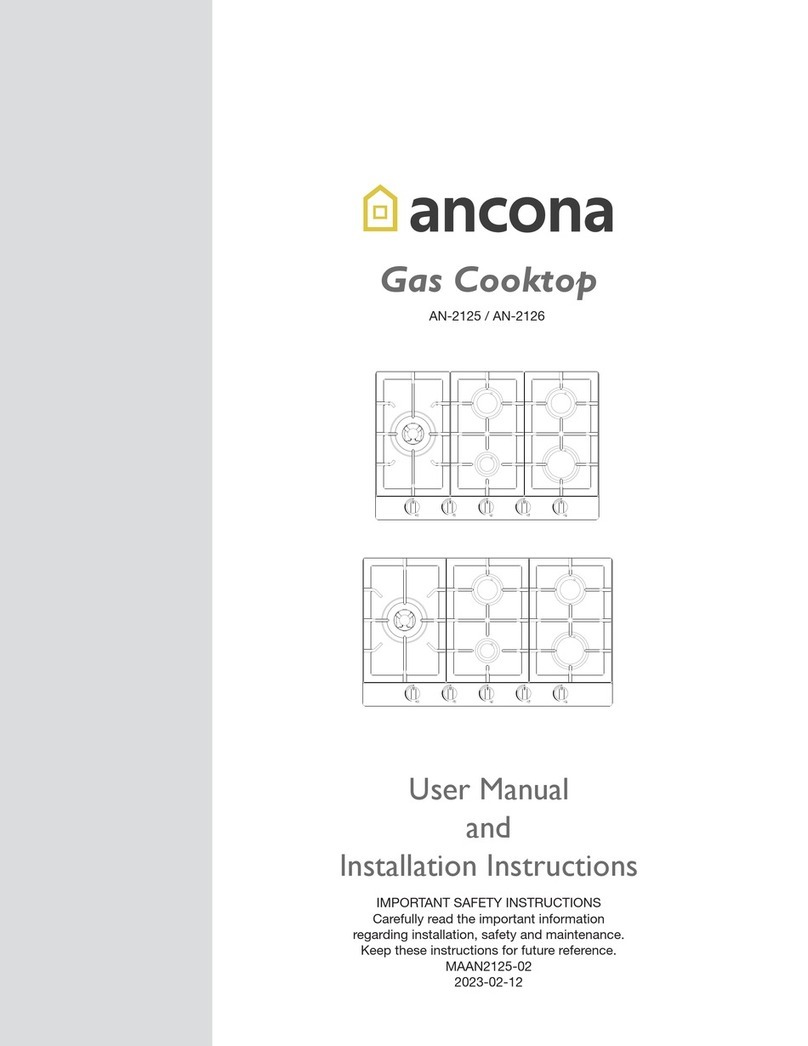 Ancona AN-2125 User manual