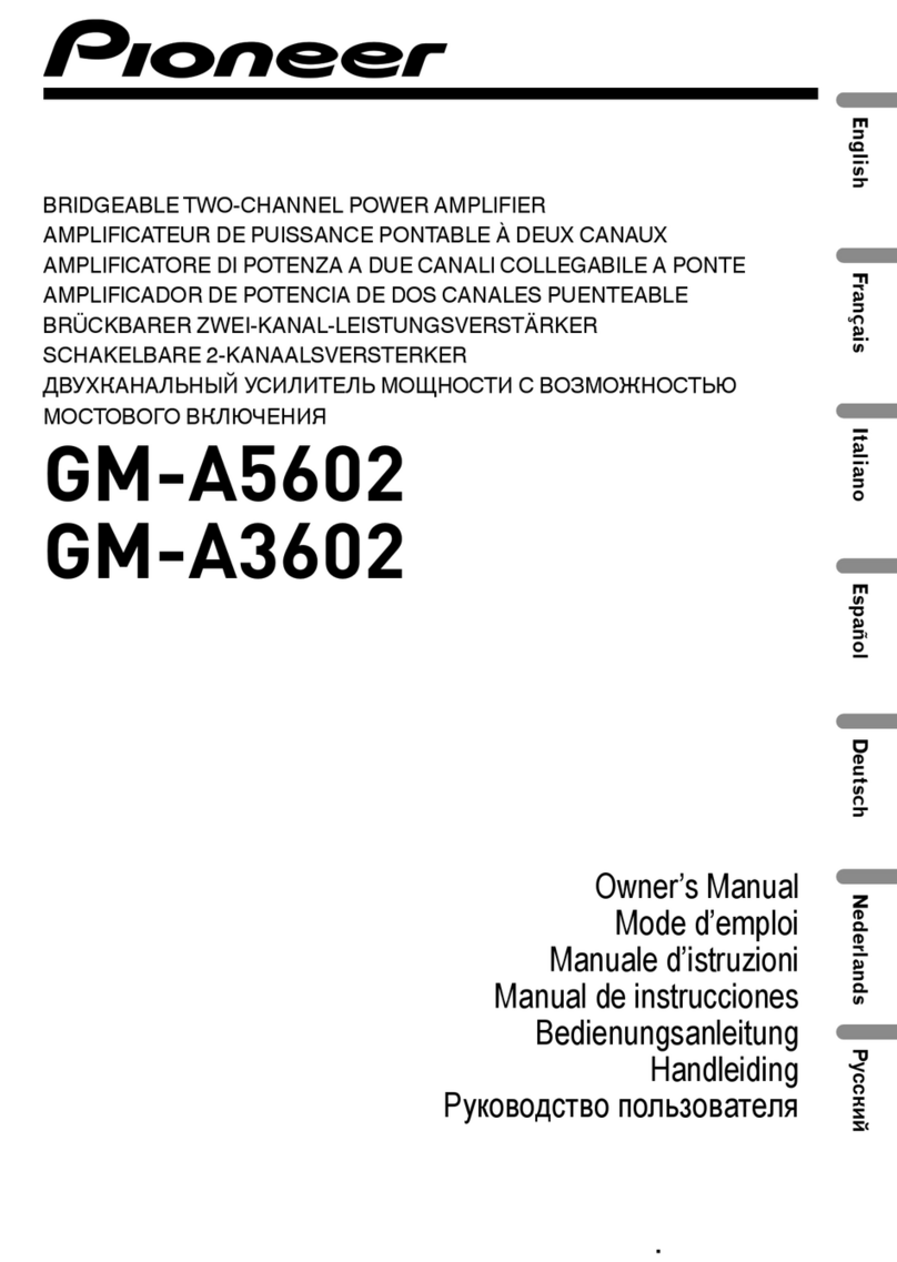 Pioneer 422070 220V User manual