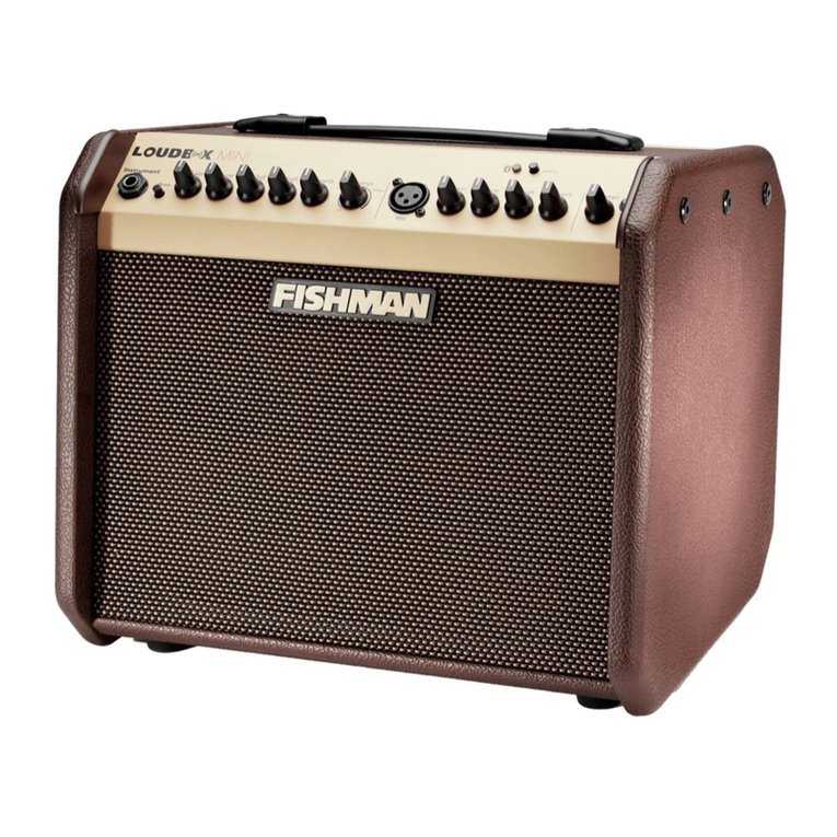 Fishman Loudbox Mini User manual