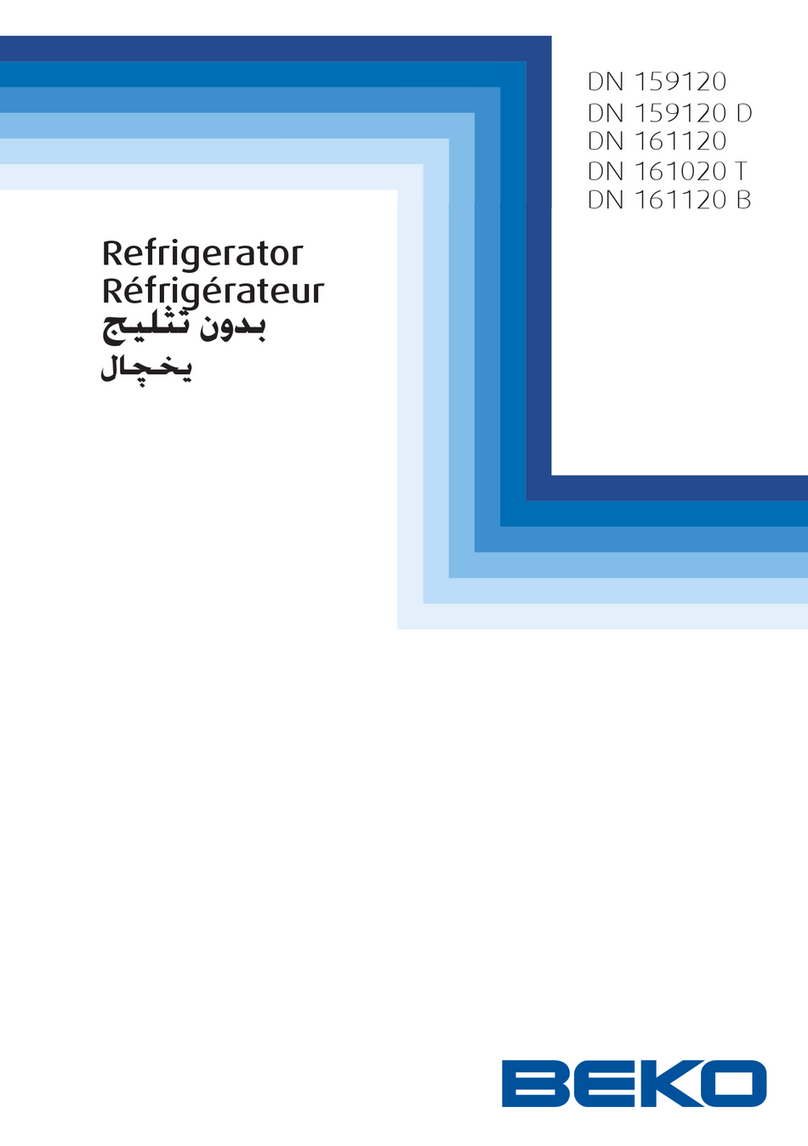Beko DN 159120 User manual