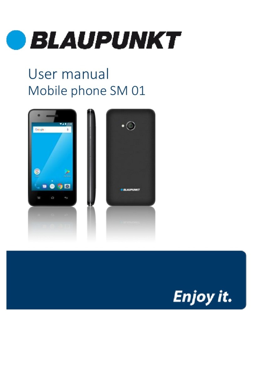 Blaupunkt SM 01 User manual