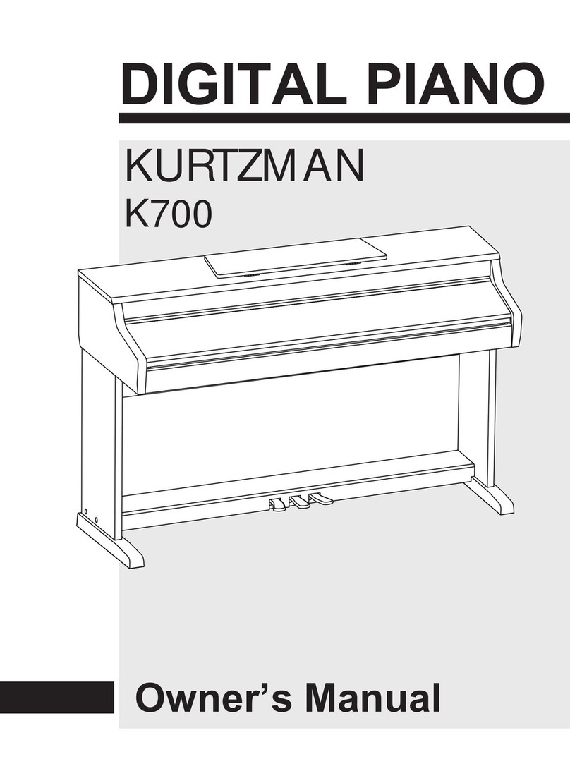 Medeli KURTZMAN K700 User manual