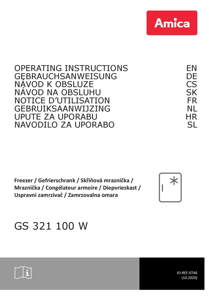 Amica GS 321 100 W operating instructions