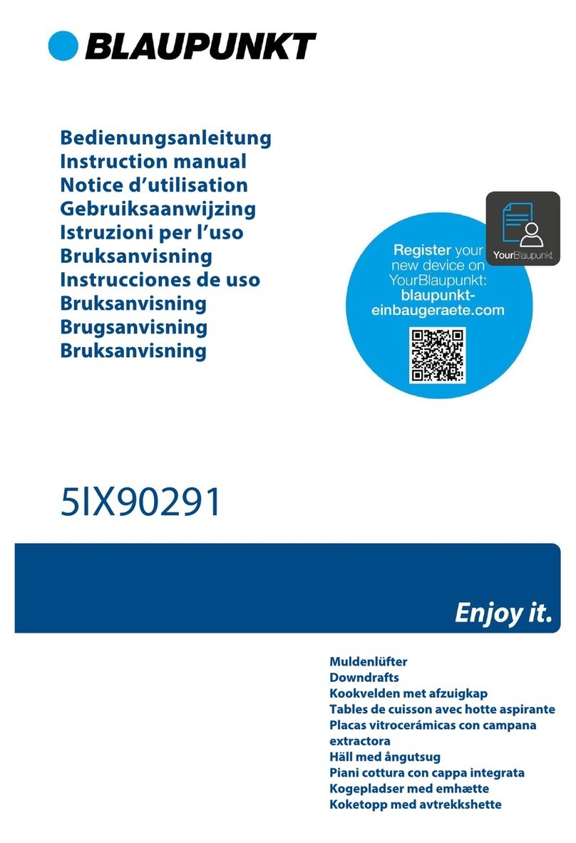 Blaupunkt 5IX90291 User manual