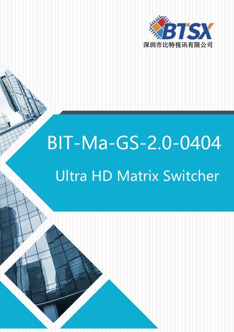 BTSX BIT-Ma-GS-2.0-0404 User manual