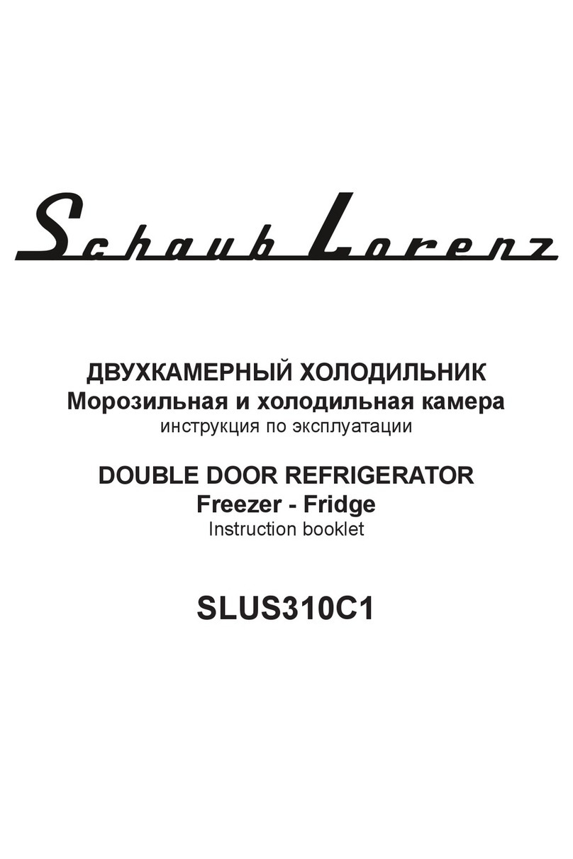 Schaub Lorenz SLUS310C1 User manual