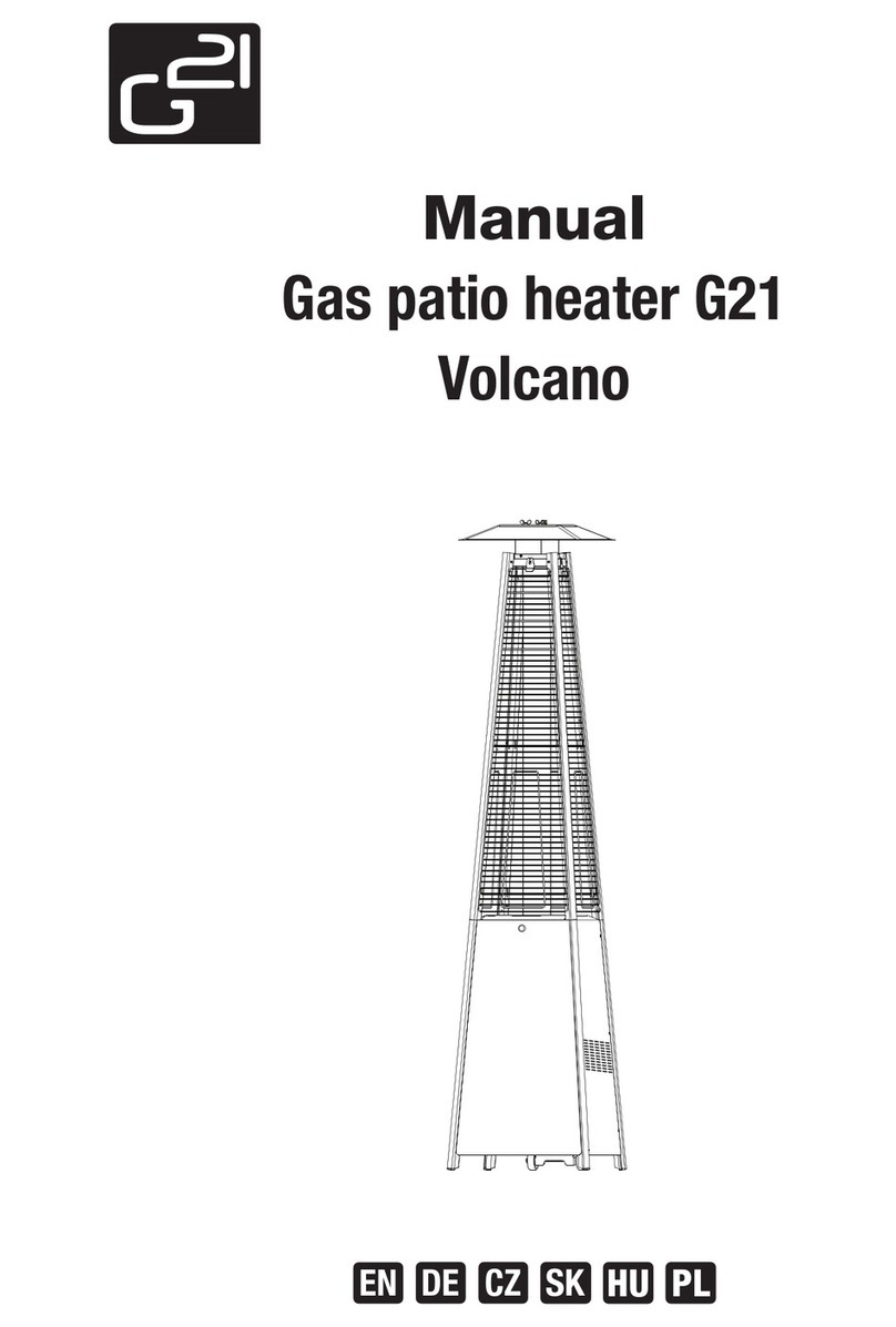 G21 Volcano User manual