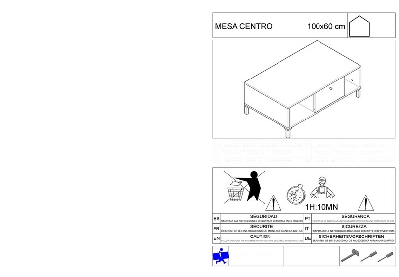 BOBOCHIC MESA CENTRO User manual