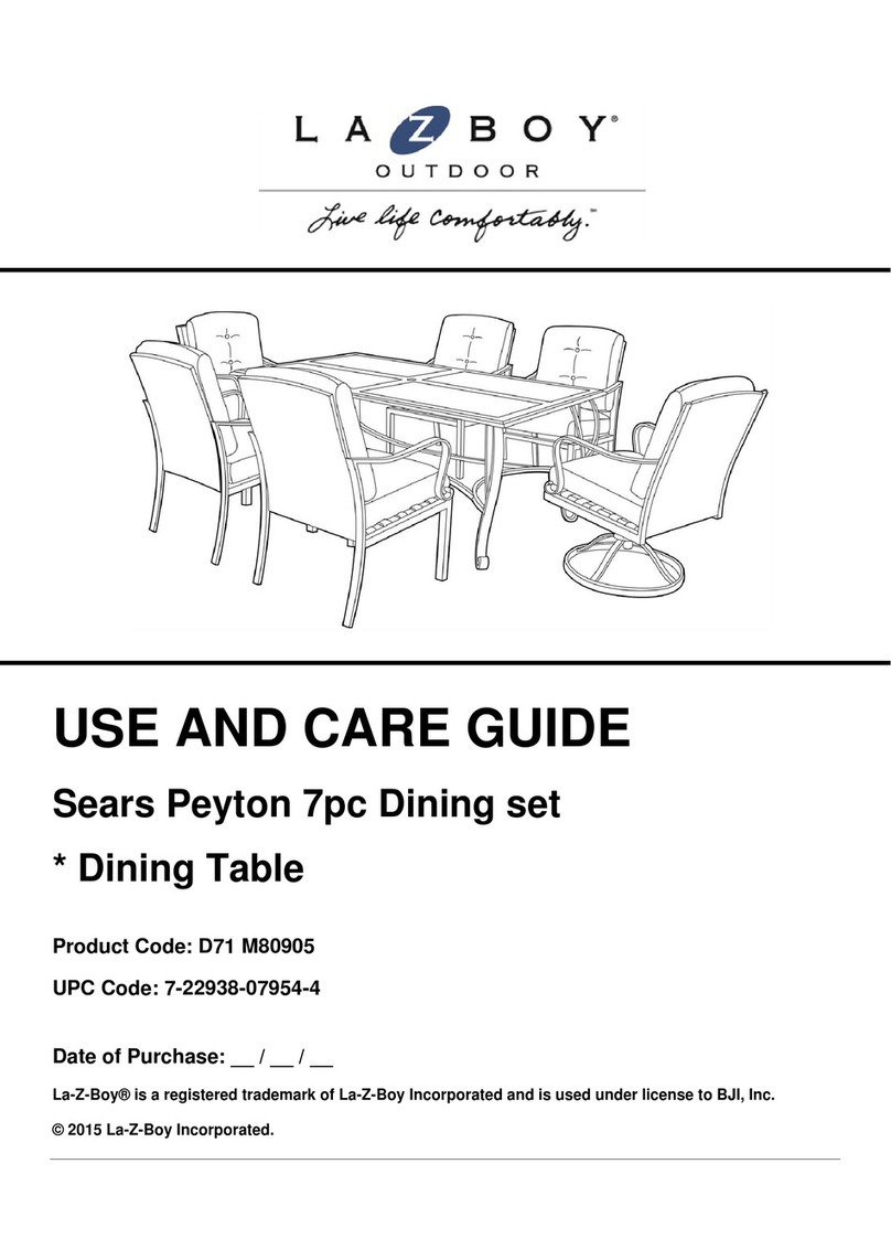 LAZBOY D71 M80905 Use and care guide