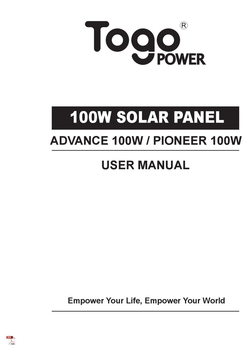 Togo POWER ADVANCE 100W user manual