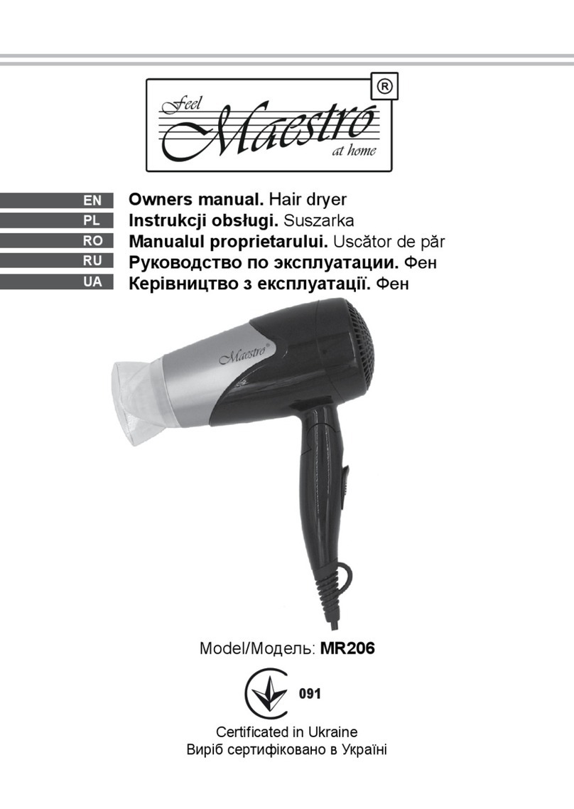 Maestro MR206 User manual