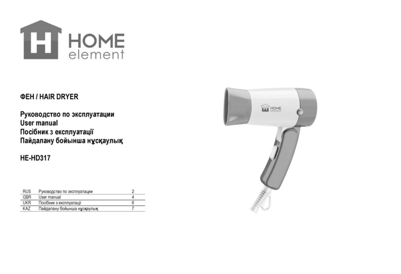 HOME ELEMENT HE-HD317 User manual