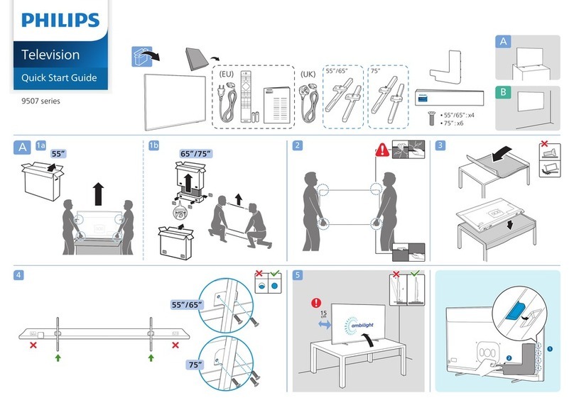 Philips 9507 Series User manual