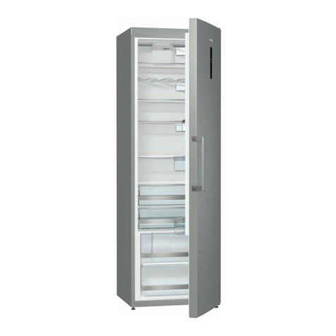 Gorenje R6192SX User manual