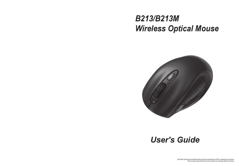 Areson B213 User manual