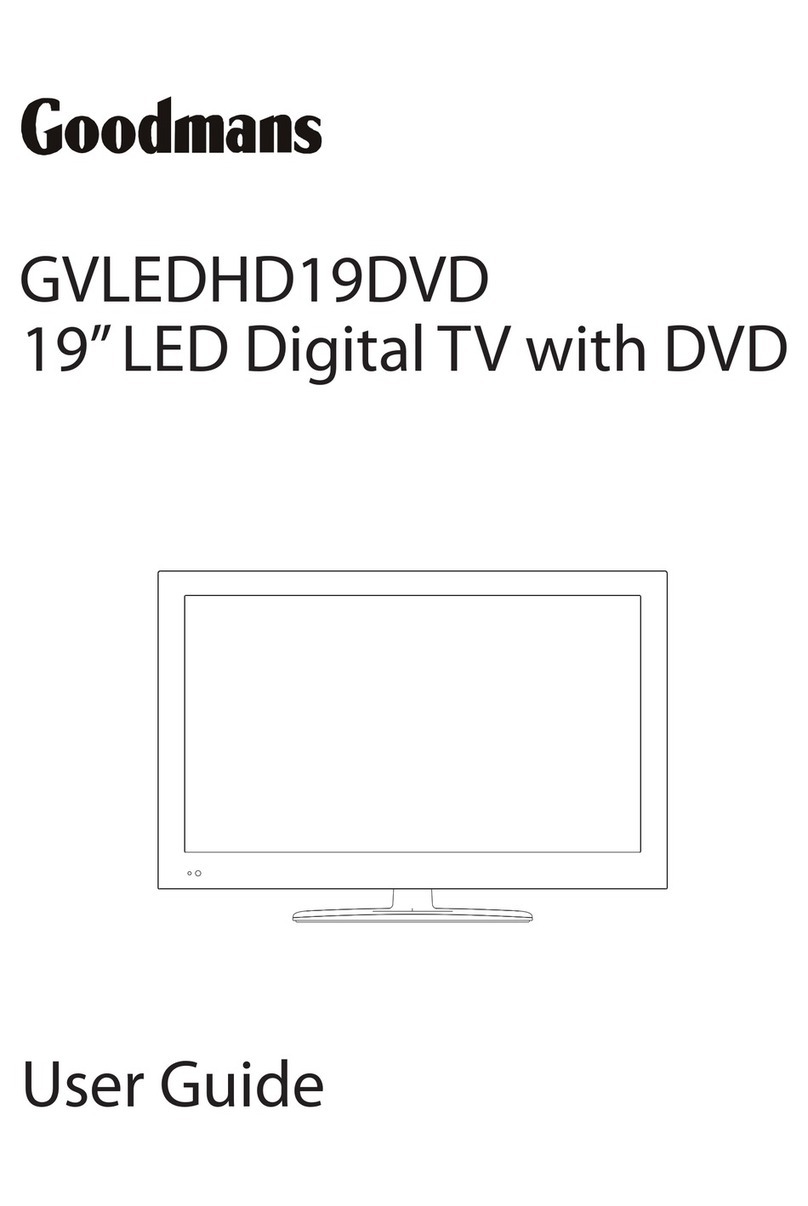 Goodmans GVLEDHD19DVD User manual