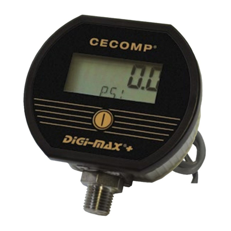 Absolute Process Instruments Cecomp F16AD User manual