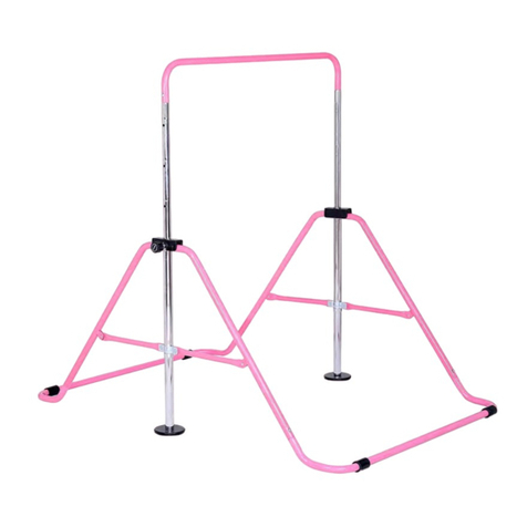 Pure Fun 9336GBP product manual