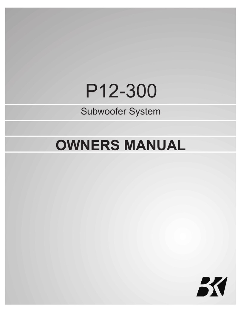 B+K precision P12-300SB-DF owner's manual