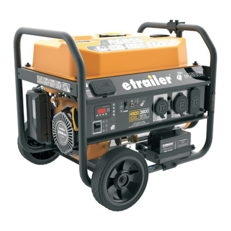 Firman P03616 User manual