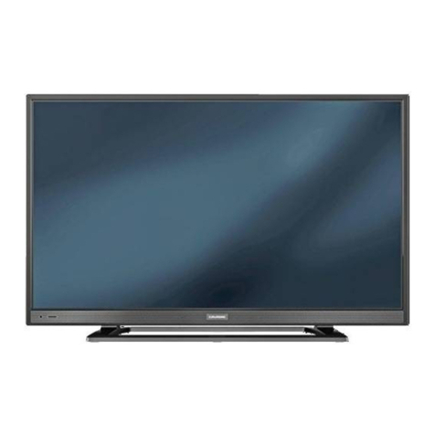 Grundig 48 VLE 555 BG User manual