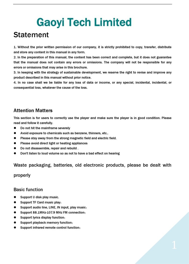 Gaoyi Tech B-31 user manual