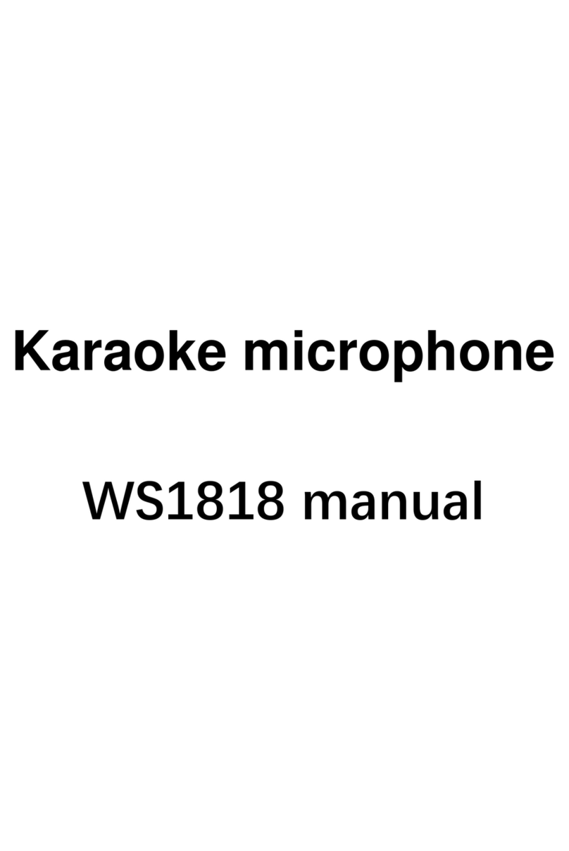 Forrinx WS1818 manual
