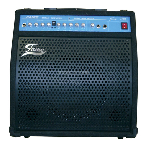 FAME T60R User manual