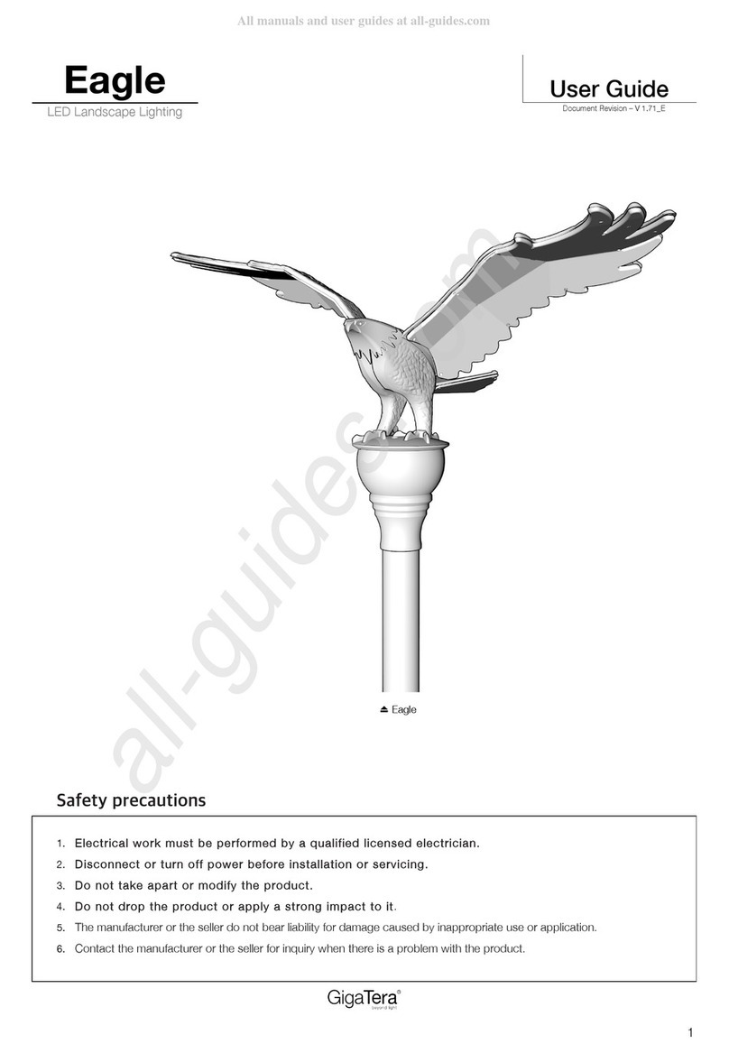 GigaTera EAGLE user guide