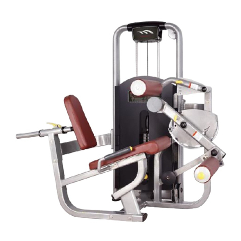 BRONZE GYM MV-013 user manual