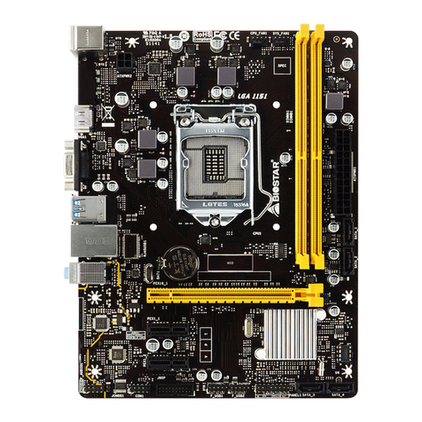 Biostar H310MHC2 User manual