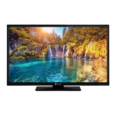 Gogen TVF39P471T User manual