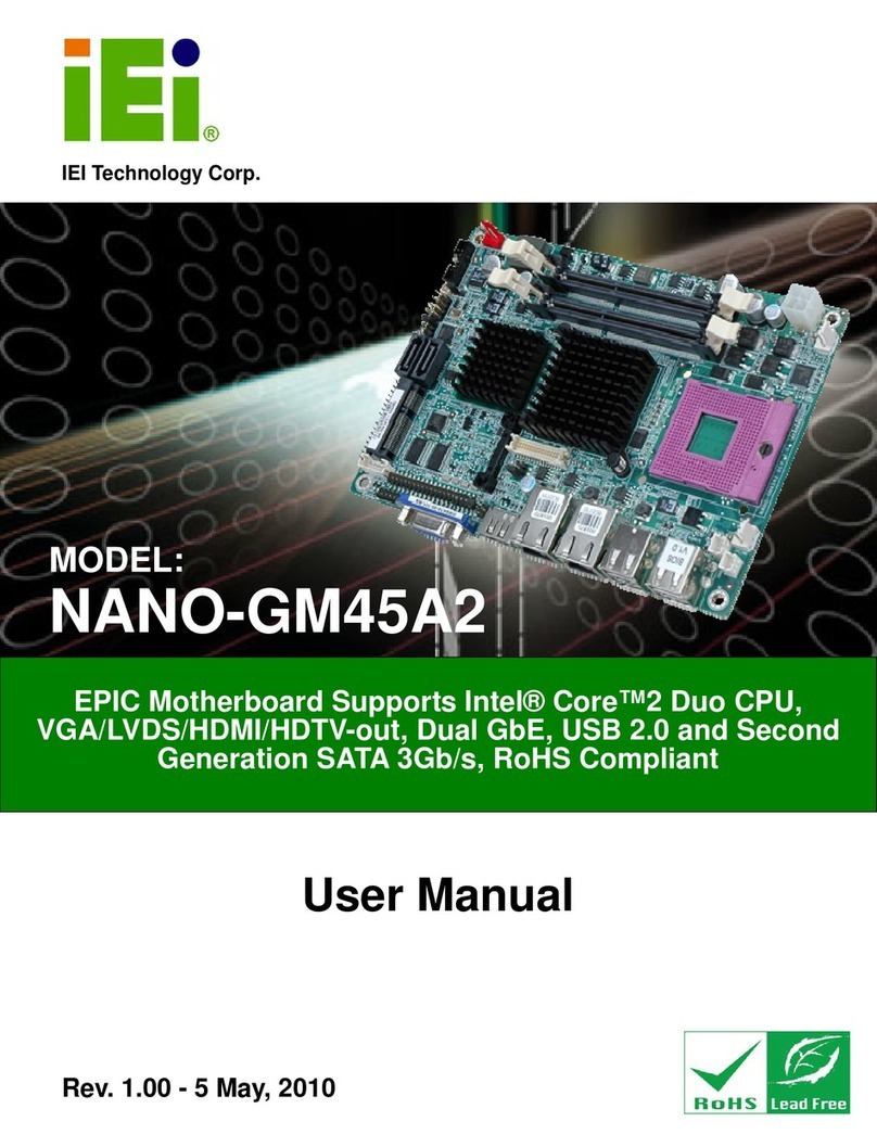 IEI Technology NANO-GM45A2-R10 User manual