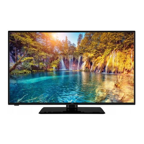 Gogen TVF43P452T instruction manual