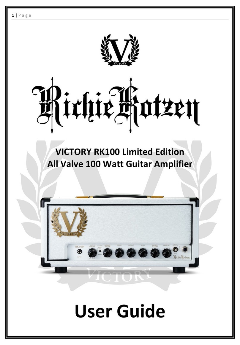 Richie Kotzen VICTORY RK100 Limited Edition user guide Richie Kotzen VICTORY RK100 Limited Edition user guide