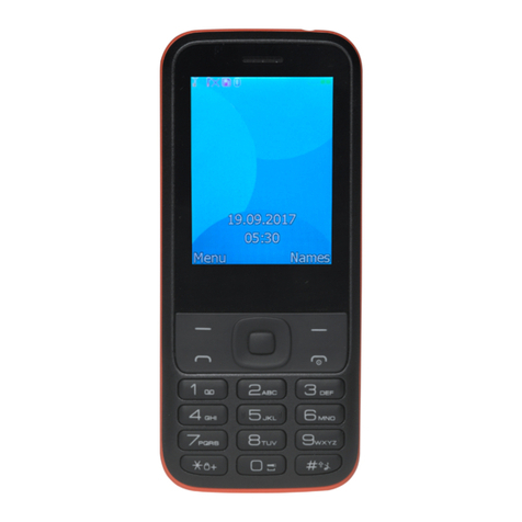 Denver FAS-24100M User manual