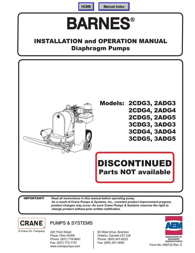Barnes 2CDG4 Installation and operation manual
