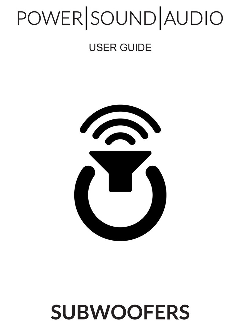 Power Sound Audio V3601 user guide