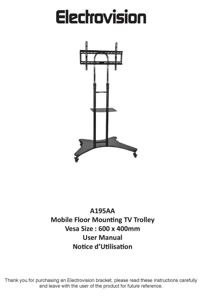 Electrovision A195AA User manual