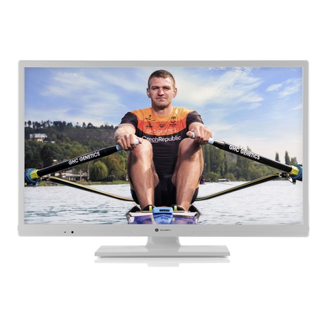 Gogen TVH32R540STWEBW User manual