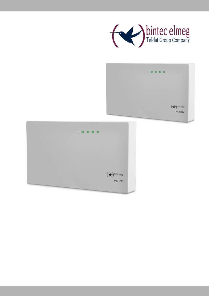 Teldat BinTec Elmeg DECT200 user guide