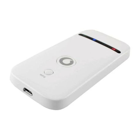 Zte R207-Z User manual