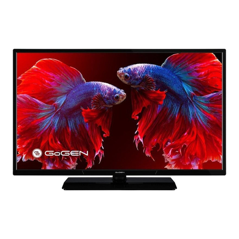 G2 GoGEN TVF32P559T User manual