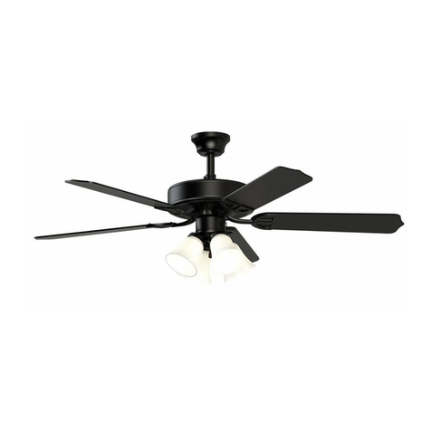 Fanimation AIRE DECOR BP210B 1 Series User manual